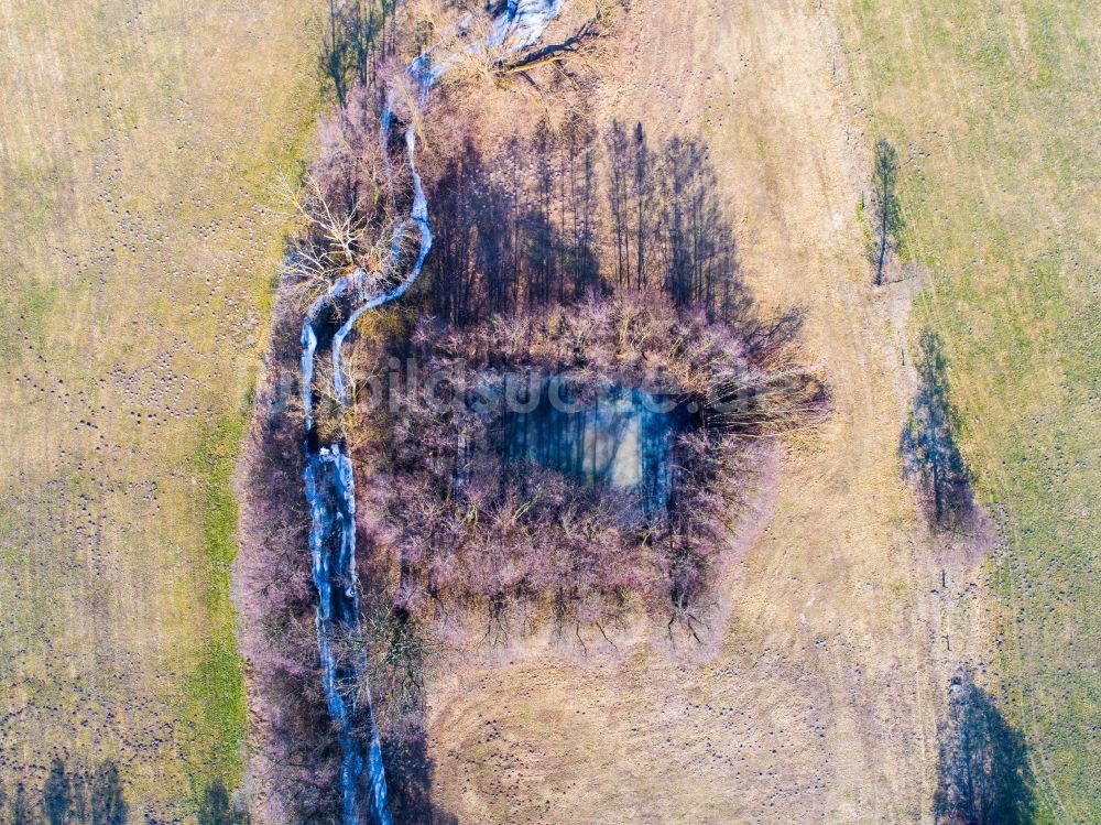 Luftaufnahme Planetal - Tümpel und Morast- Wasseroberfläche in einer Teichlandschaft in Planetal im Bundesland Brandenburg, Deutschland
