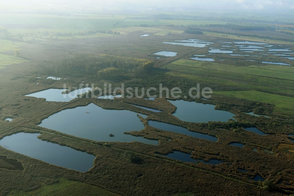 Luftbild Päwesin - Tümpel und Morast- Wasseroberfläche in einer Teichlandschaft in Päwesin im Bundesland Brandenburg, Deutschland