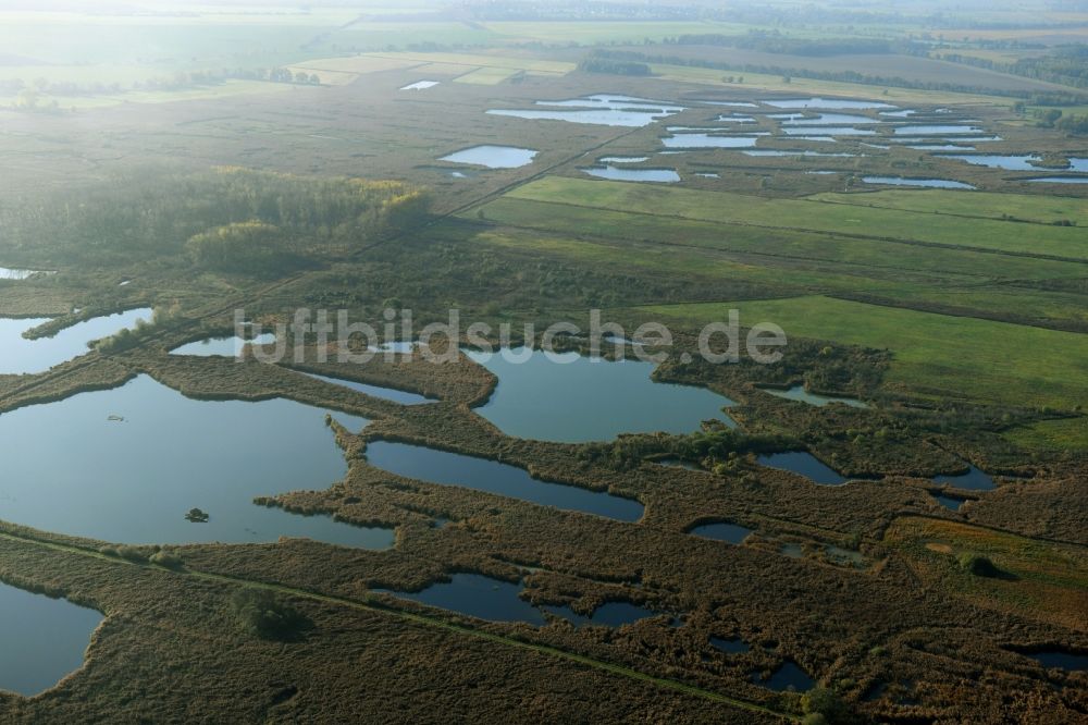 Luftaufnahme Päwesin - Tümpel und Morast- Wasseroberfläche in einer Teichlandschaft in Päwesin im Bundesland Brandenburg, Deutschland