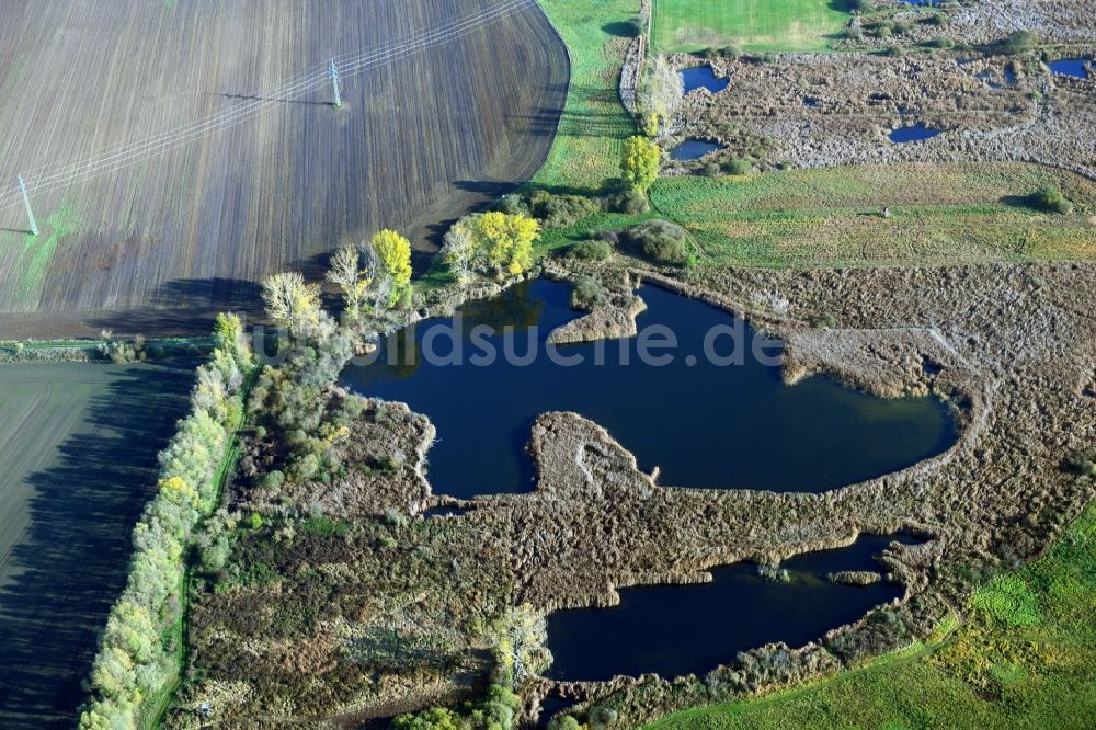 Päwesin von oben - Tümpel und Morast- Wasseroberfläche in einer Teichlandschaft in Päwesin im Bundesland Brandenburg, Deutschland