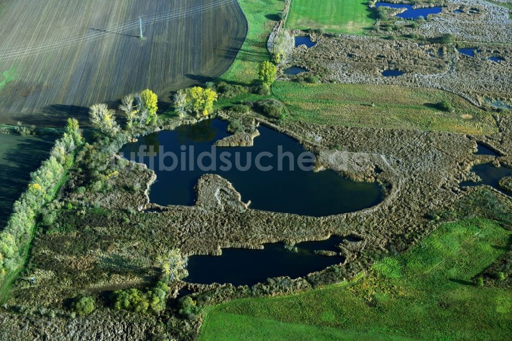 Päwesin aus der Vogelperspektive: Tümpel und Morast- Wasseroberfläche in einer Teichlandschaft in Päwesin im Bundesland Brandenburg, Deutschland