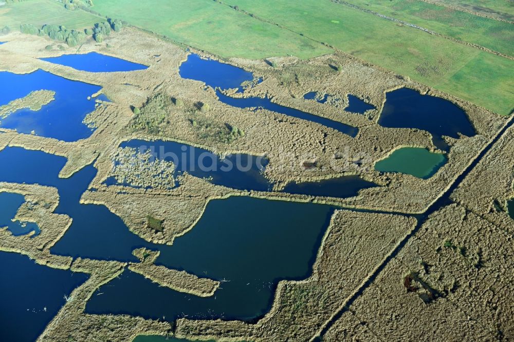 Päwesin von oben - Tümpel und Morast- Wasseroberfläche in einer Teichlandschaft in Päwesin im Bundesland Brandenburg, Deutschland