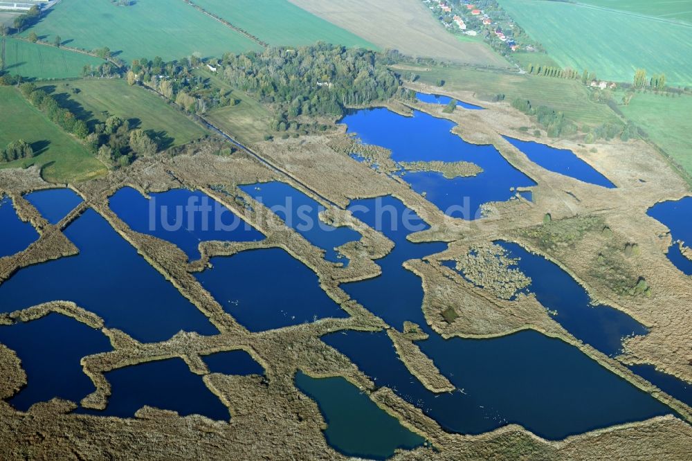 Päwesin aus der Vogelperspektive: Tümpel und Morast- Wasseroberfläche in einer Teichlandschaft in Päwesin im Bundesland Brandenburg, Deutschland