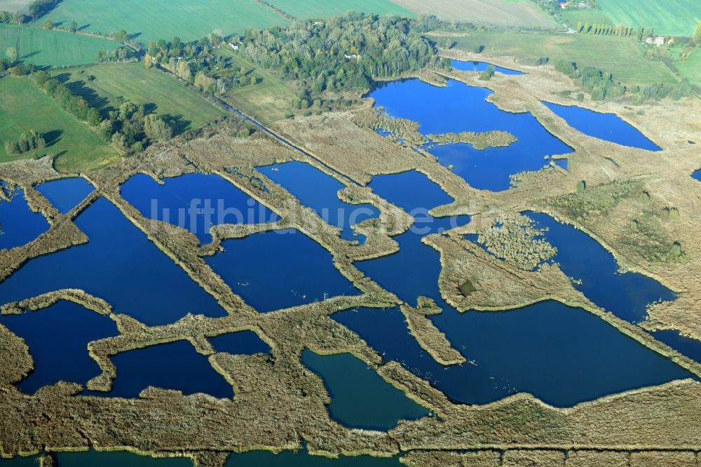 Luftbild Päwesin - Tümpel und Morast- Wasseroberfläche in einer Teichlandschaft in Päwesin im Bundesland Brandenburg, Deutschland
