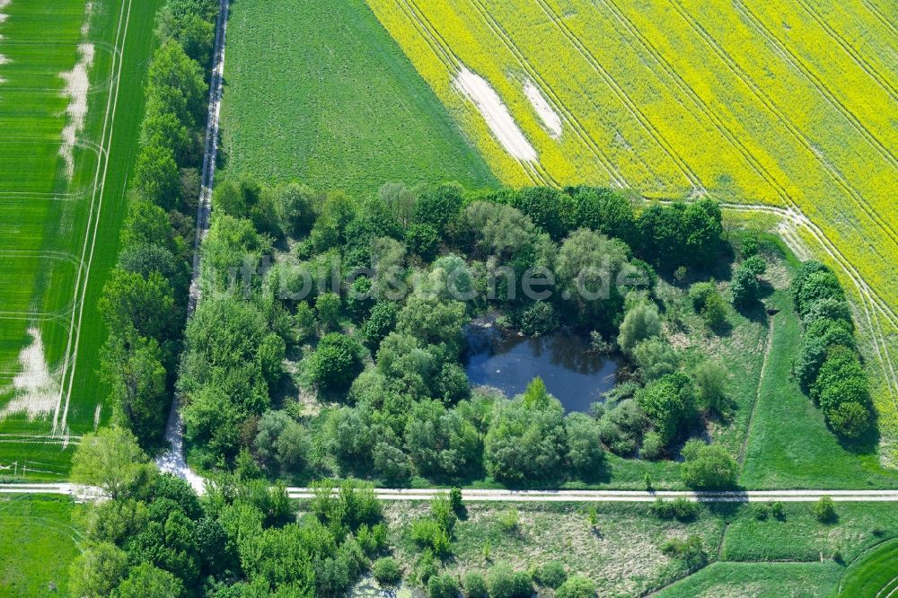 Luftaufnahme Willmersdorf - Tümpel Oase an landwirtschaftlichen Feldern in Willmersdorf im Bundesland Brandenburg, Deutschland