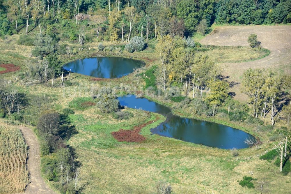 Luftaufnahme Prötzel - Tümpel Oasen auf abgeernteten landwirtschaftlichen Feldern in Prötzel im Bundesland Brandenburg, Deutschland