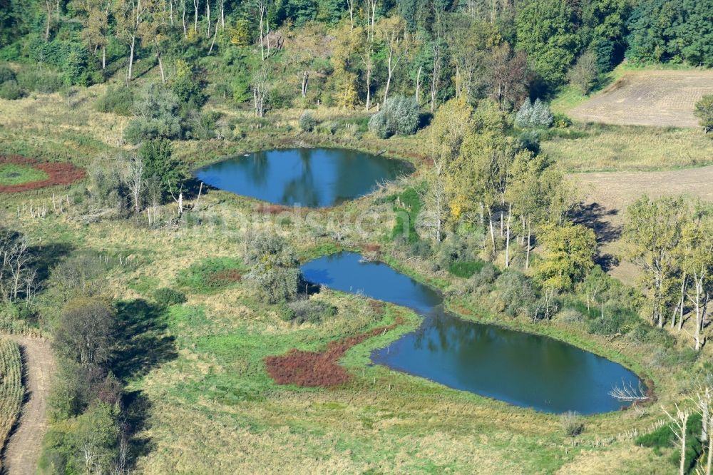 Prötzel von oben - Tümpel Oasen auf abgeernteten landwirtschaftlichen Feldern in Prötzel im Bundesland Brandenburg, Deutschland