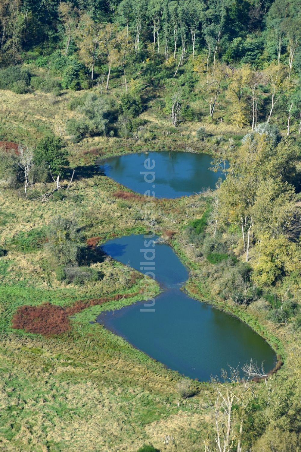 Luftbild Prötzel - Tümpel Oasen auf abgeernteten landwirtschaftlichen Feldern in Prötzel im Bundesland Brandenburg, Deutschland