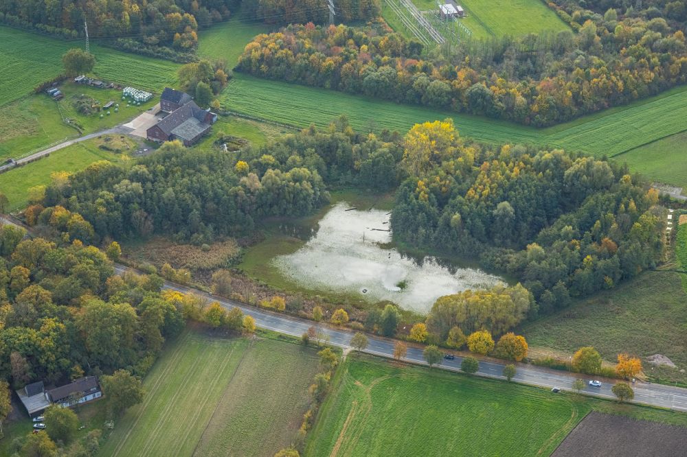 Bergkamen aus der Vogelperspektive: Tümpel- und Teich Oase in Bergkamen im Bundesland Nordrhein-Westfalen, Deutschland