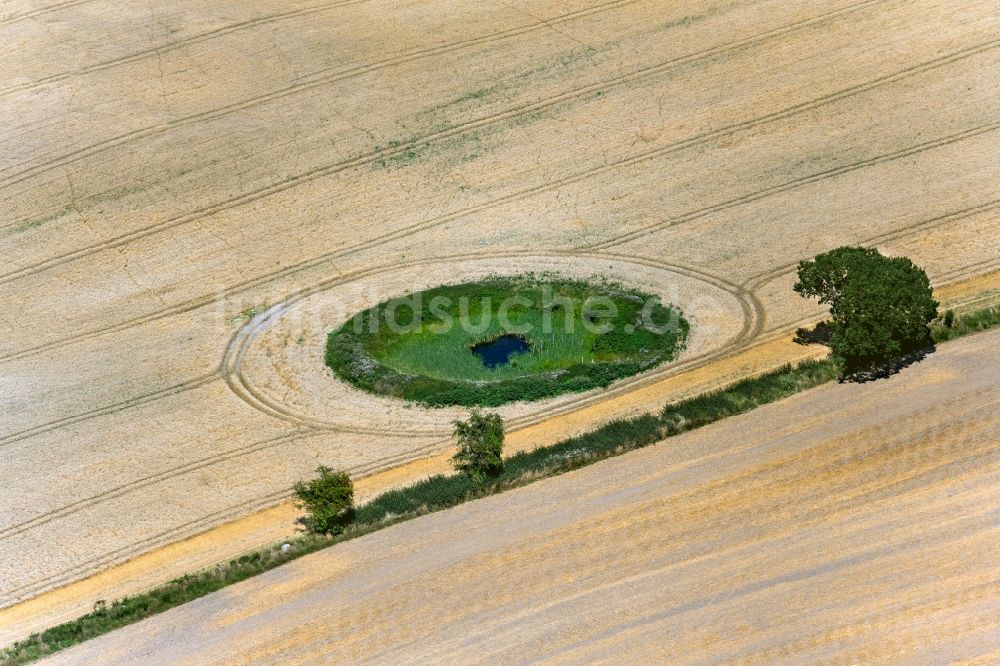 Luftbild Kronsgaard - Tümpel- und Teich Oase auf einem Feld zwischen Golsmaas und Düttebüll in Kronsgaard im Bundesland Schleswig-Holstein, Deutschland