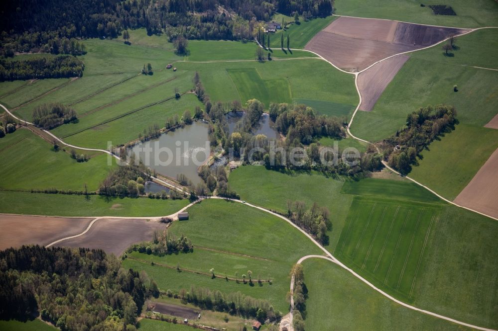 Luftaufnahme Ellmosen - Tümpel- und Teich Oase in Ellmosen im Bundesland Bayern, Deutschland