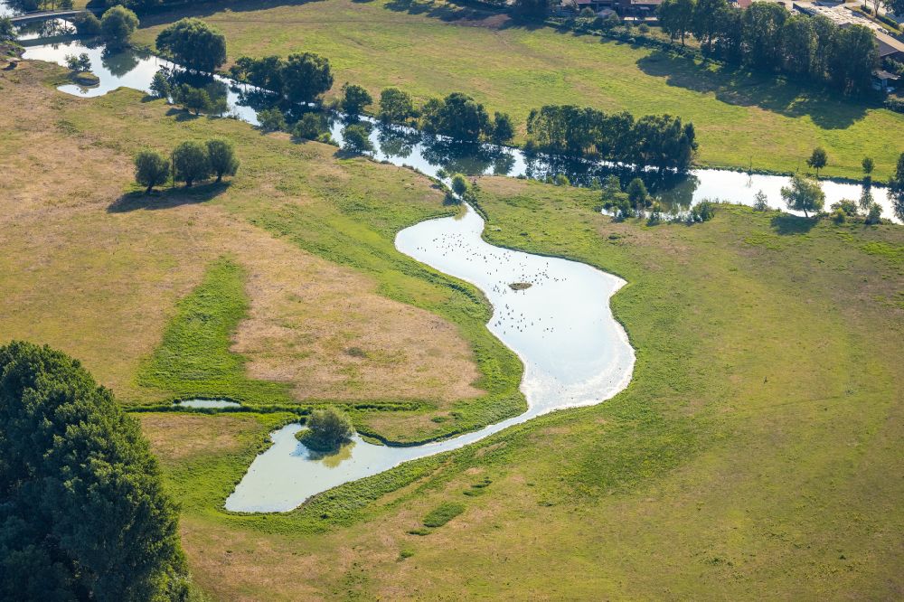 Luftaufnahme Hamm - Tümpel- und Teich Oase mit Enten und Gänsen in den Lippeauen in Hamm im Bundesland Nordrhein-Westfalen, Deutschland