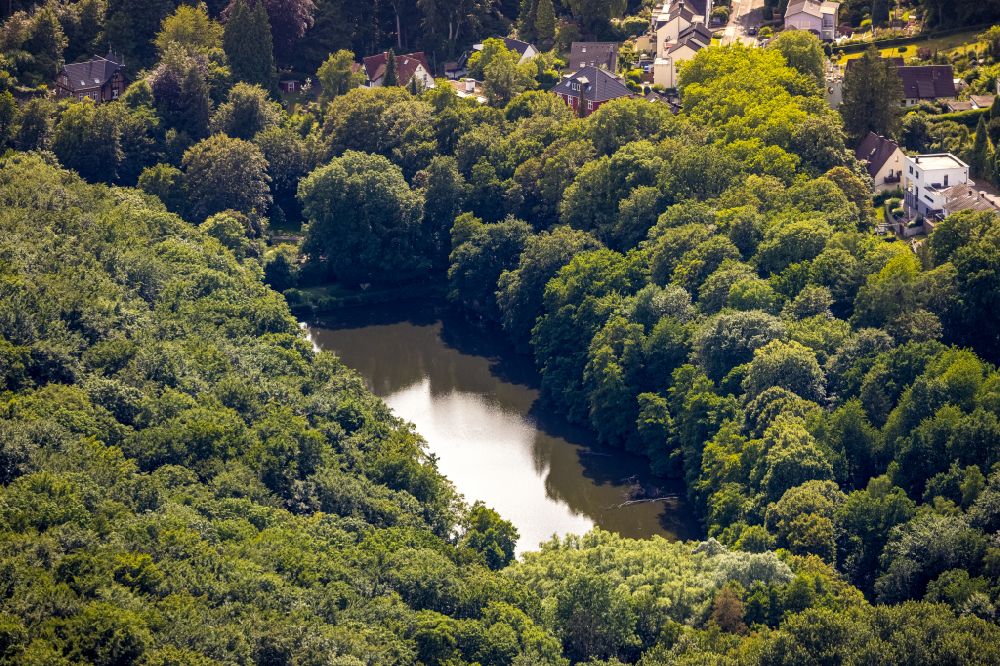 Witten von oben - Tümpel- und Teich Oase Hammerteich in Witten im Bundesland Nordrhein-Westfalen, Deutschland