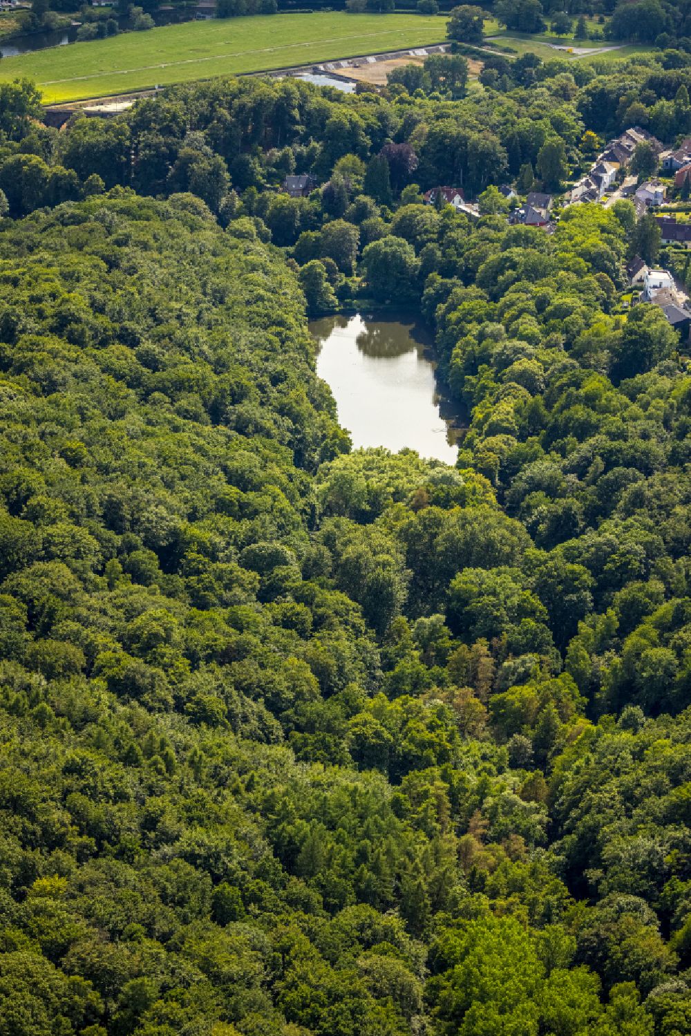 Luftbild Witten - Tümpel- und Teich Oase Hammerteich in Witten im Bundesland Nordrhein-Westfalen, Deutschland
