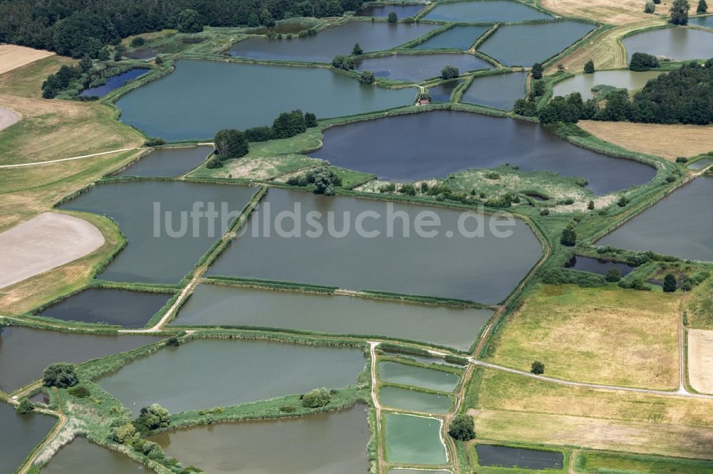 Luftbild Gremsdorf - Tümpel- und Teich Oase Vogelfreistätte Weihergebiet bei Mohrhof in Gremsdorf im Bundesland Bayern, Deutschland