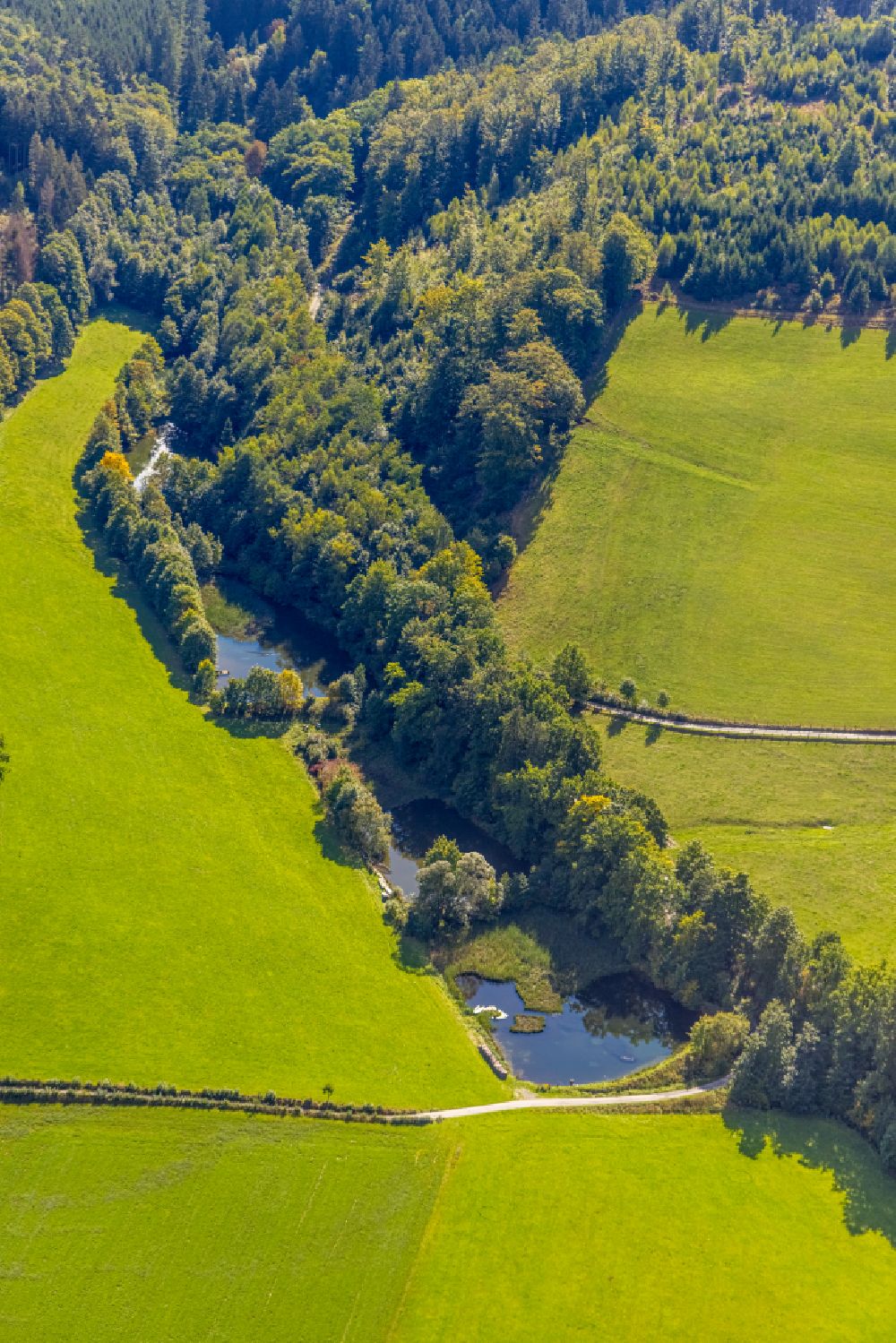 Luftbild Schmallenberg - Tümpel- und Teich Oase mit dem Waldskulpturenweg am Waldrand beim Mühlenteich in Schmallenberg im Bundesland Nordrhein-Westfalen, Deutschland