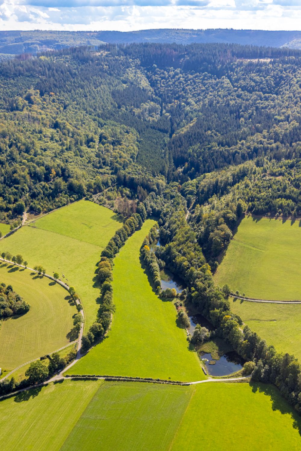 Luftaufnahme Schmallenberg - Tümpel- und Teich Oase mit dem Waldskulpturenweg am Waldrand beim Mühlenteich in Schmallenberg im Bundesland Nordrhein-Westfalen, Deutschland