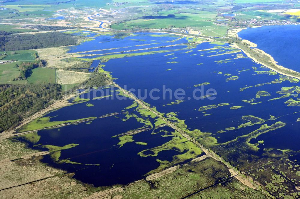 Luftaufnahme Dargun - Torf- und Moor- Vorkommen bei Verchen in Dargun im Bundesland Mecklenburg-Vorpommern, Deutschland