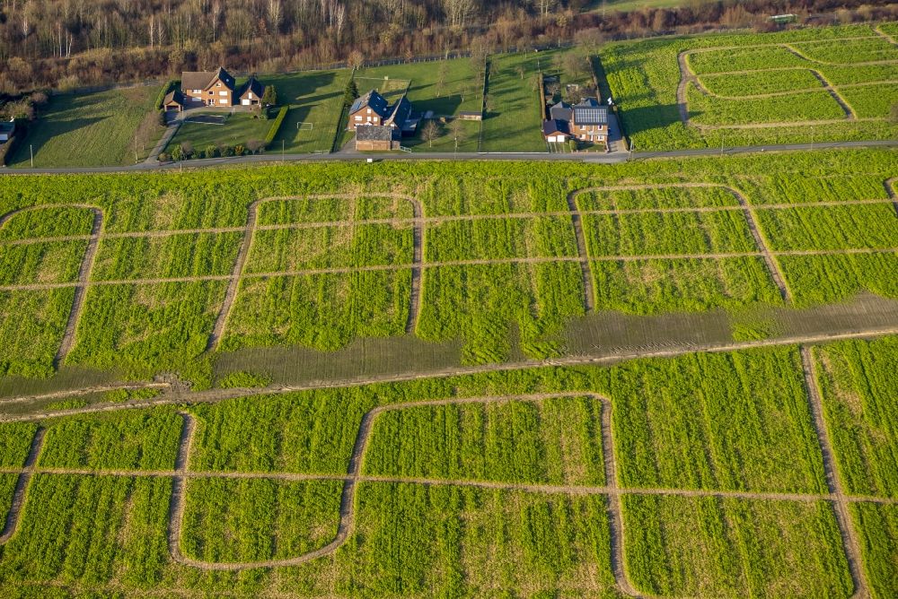 Luftbild Velbert - Traktor- Spuren der landwirtschaftlichen Feldbearbeitung auf einem Acker bei Velbert im Ruhrgebiet im Bundesland Nordrhein-Westfalen NRW