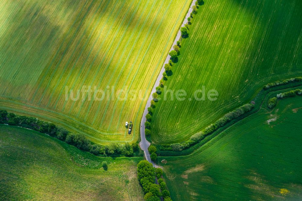 Luftbild Malchow - Transportfahrzeuge auf landwirtschaftlichen Feldern in Malchow im Bundesland Mecklenburg-Vorpommern, Deutschland