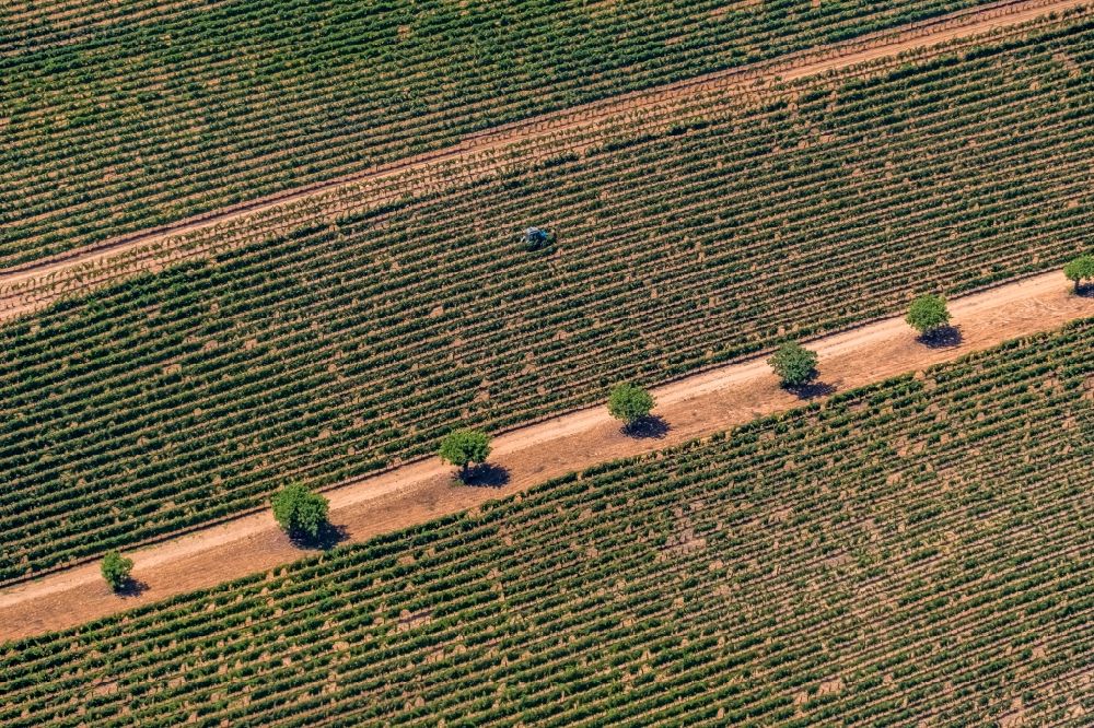 Luftaufnahme Manacor - Transportfahrzeuge auf landwirtschaftlichen Feldern in Manacor in Balearische Insel Mallorca, Spanien