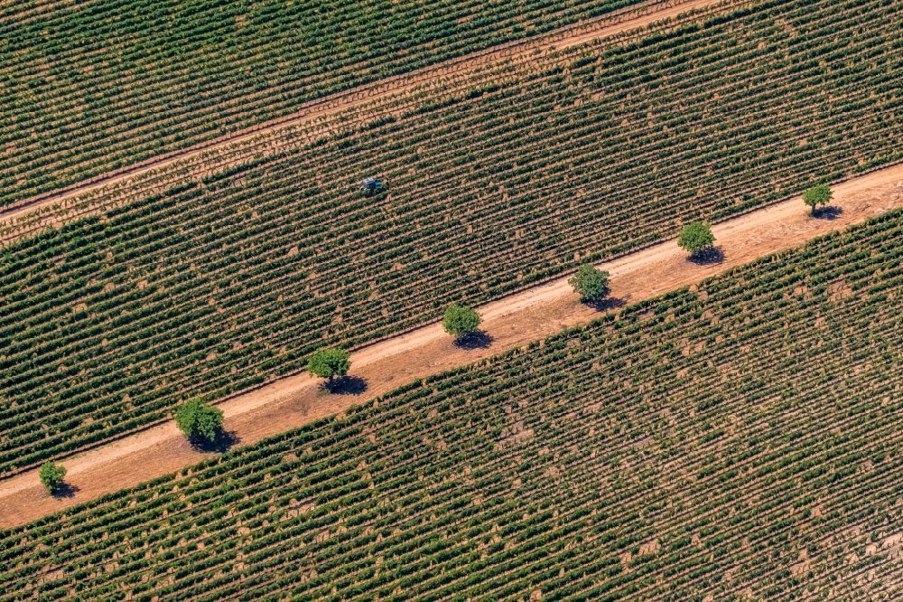 Manacor aus der Vogelperspektive: Transportfahrzeuge auf landwirtschaftlichen Feldern in Manacor in Balearische Insel Mallorca, Spanien