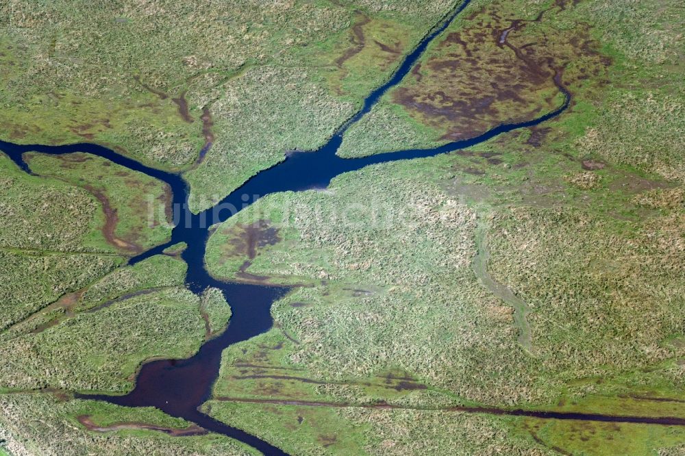 Luftbild Neuenkirchen - Tümpel und Morast- Wasseroberfläche am Kooser See in Neuenkirchen im Bundesland Mecklenburg-Vorpommern, Deutschland