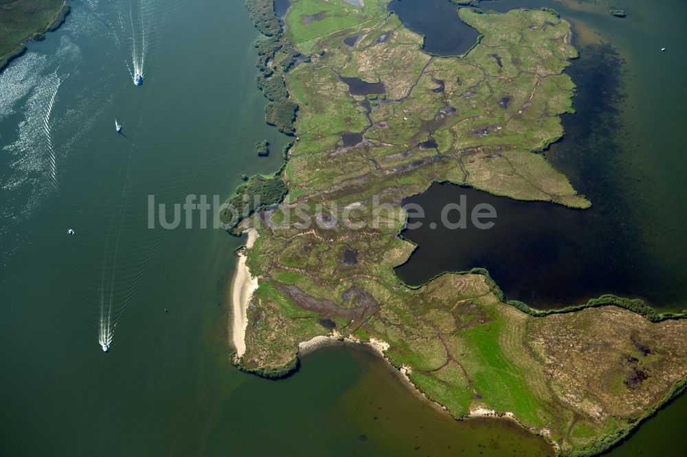 Luftaufnahme Kröslin - Tümpel und Morast- Wasseroberfläche in einer Teichlandschaft entlang des Peenestrom Flussverlauf am Krösliner See in Kröslin im Bundesland Mecklenburg-Vorpommern, Deutschland