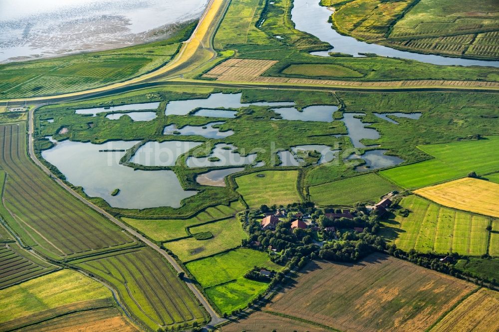 Luftaufnahme Hauen - Tümpel- und Teich Oase in Hauen im Bundesland Niedersachsen, Deutschland