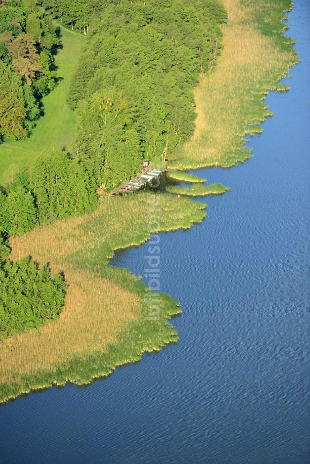 Luftaufnahme Löwenberger Land - Ufer des Dreetzsee in der Gemeinde Löwenberger Land im Bundesland Brandenburg