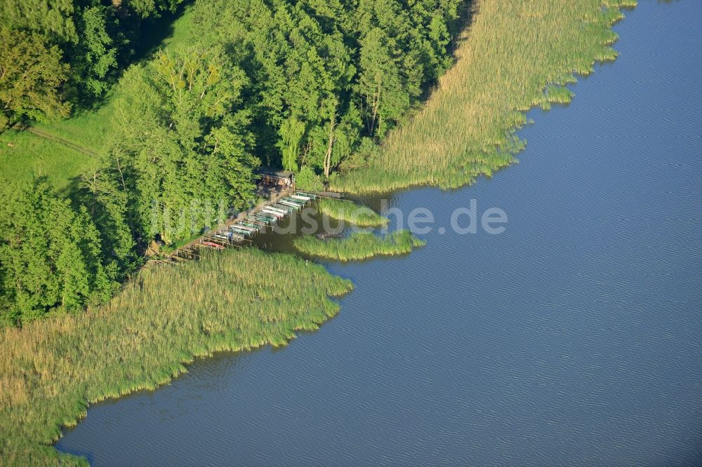 Löwenberger Land aus der Vogelperspektive: Ufer des Dreetzsee in der Gemeinde Löwenberger Land im Bundesland Brandenburg