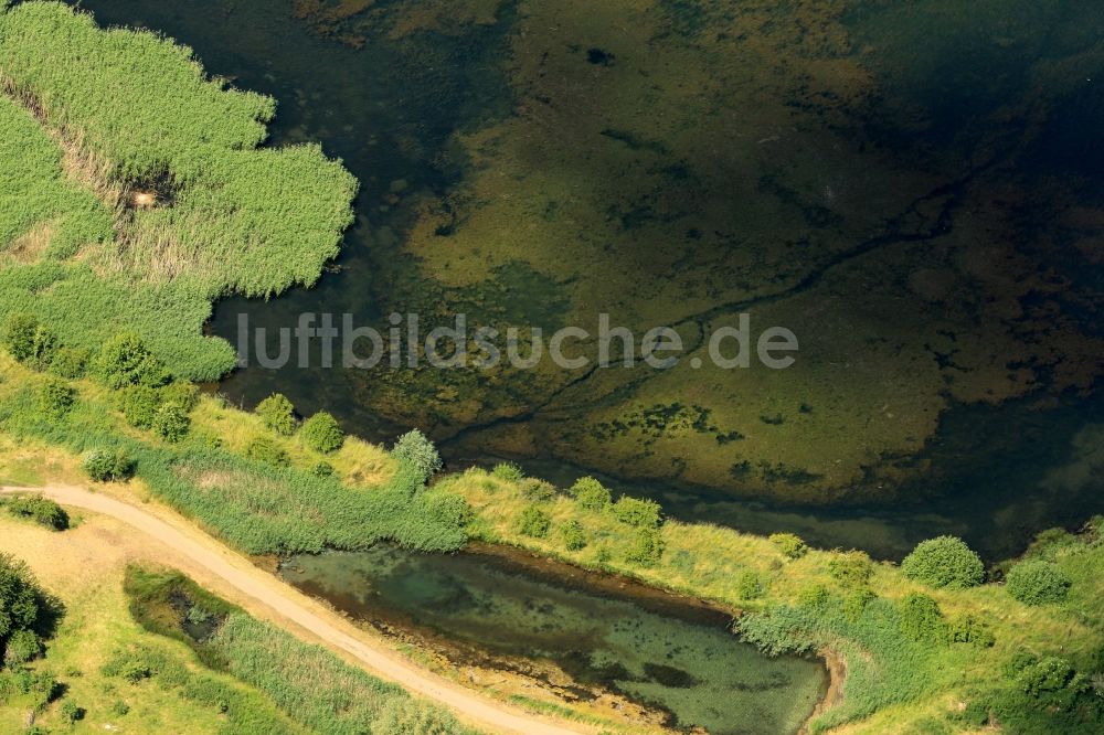 Luftbild Kelbra (Kyffhäuser) - Ufer des Helmestausee bei Kelbra im Bundesland Sachsen-Anhalt