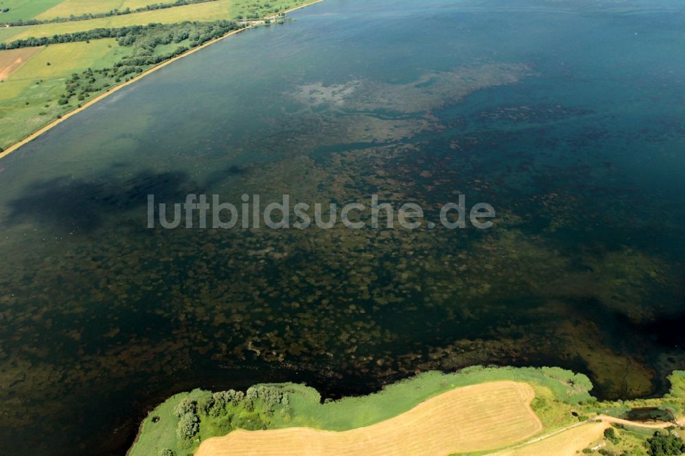 Luftaufnahme Kelbra (Kyffhäuser) - Ufer des Helmestausee bei Kelbra im Bundesland Sachsen-Anhalt