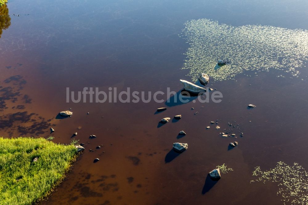 Hunna aus der Vogelperspektive: Ufer mit Seerosen im moorfarbenen Åsnen-See bei Hunna in Småland in Kronobergs län, Schweden