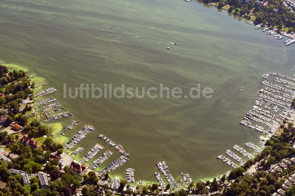 Luftbild Berlin - Uferbereich und Bootsanlegestege am See Wannsee in Berlin, Deutschland