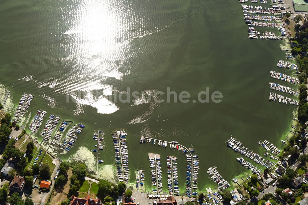 Berlin von oben - Uferbereich und Bootsanlegestege am Wannsee in Berlin, Deutschland