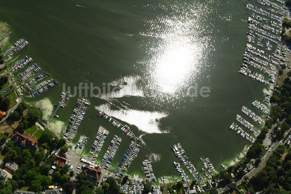 Berlin aus der Vogelperspektive: Uferbereich und Bootsanlegestege am Wannsee in Berlin, Deutschland
