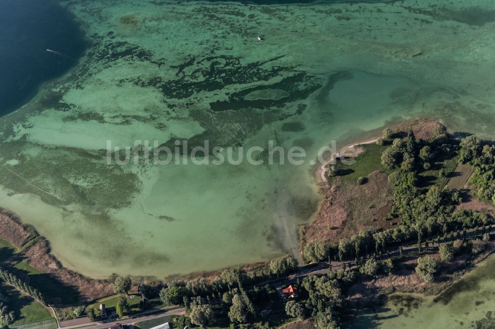 Reichenau aus der Vogelperspektive: Uferbereich auf der See- Insel in Reichenau im Bundesland Baden-Württemberg, Deutschland