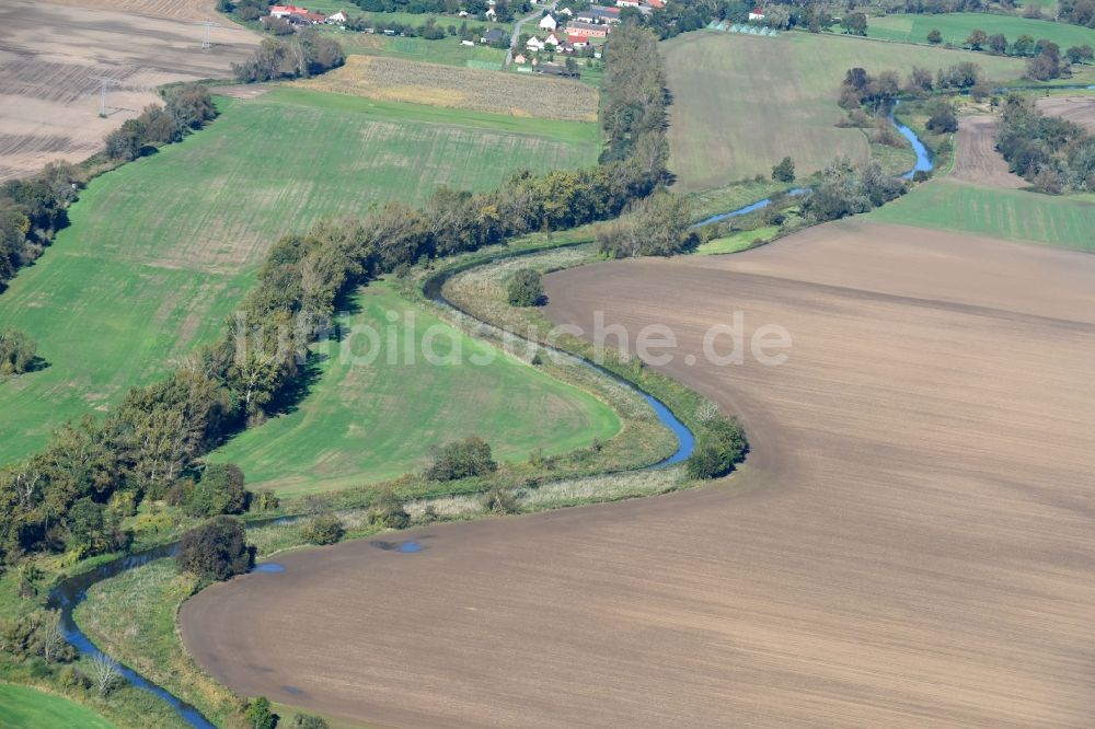 Luftbild Oderaue - Uferbereiche am Alte Oder - Flußverlauf in Oderaue im Bundesland Brandenburg, Deutschland