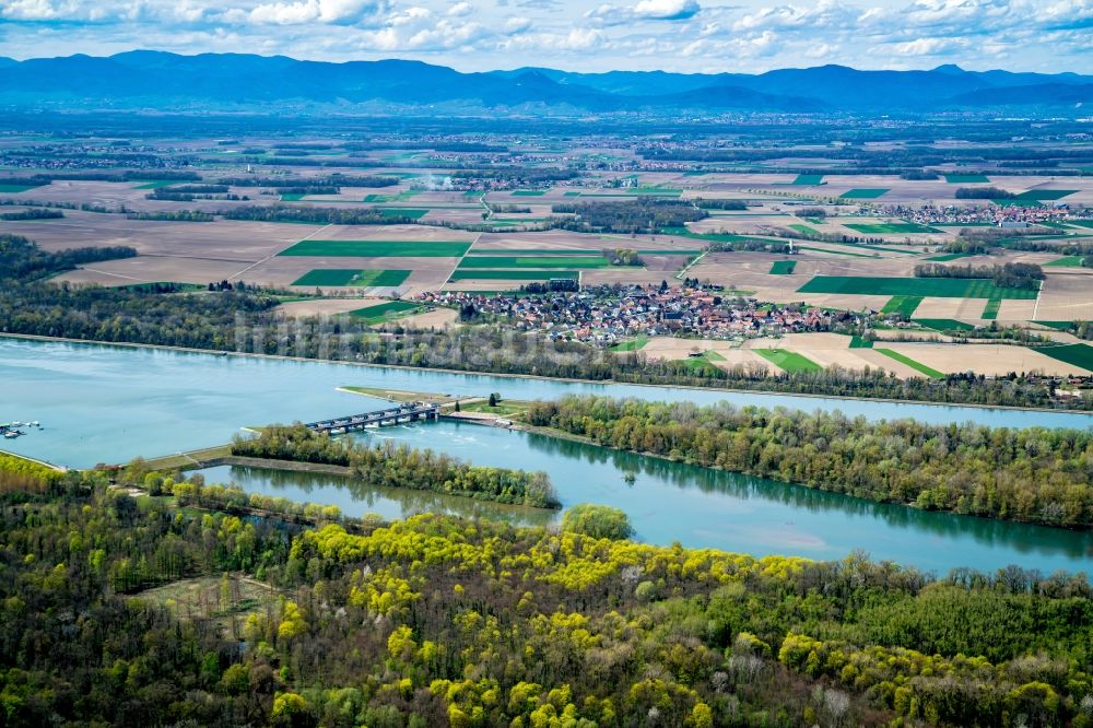 Diebolsheim aus der Vogelperspektive: Uferbereiche des mit durch Hochwasser- Schutz- Damm verstärkten Flußbett- Verlaufes Rhein in Diebolsheim in Grand Est, Frankreich