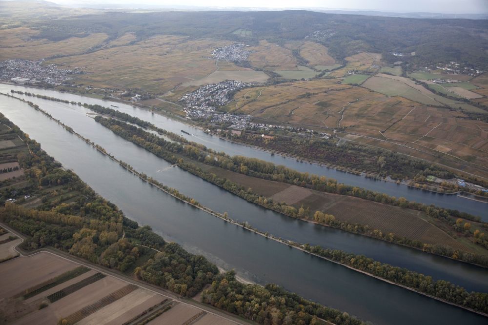 Eltville am Rhein von oben - Uferbereiche mit durch Niedrig- Wasser- Pegel freigelegtem Flußbett im Rhein in Eltville am Rhein im Bundesland Hessen, Deutschland