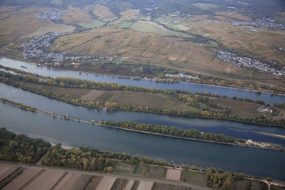 Luftbild Eltville am Rhein - Uferbereiche mit durch Niedrig- Wasser- Pegel freigelegtem Flußbett im Rhein in Eltville am Rhein im Bundesland Hessen, Deutschland