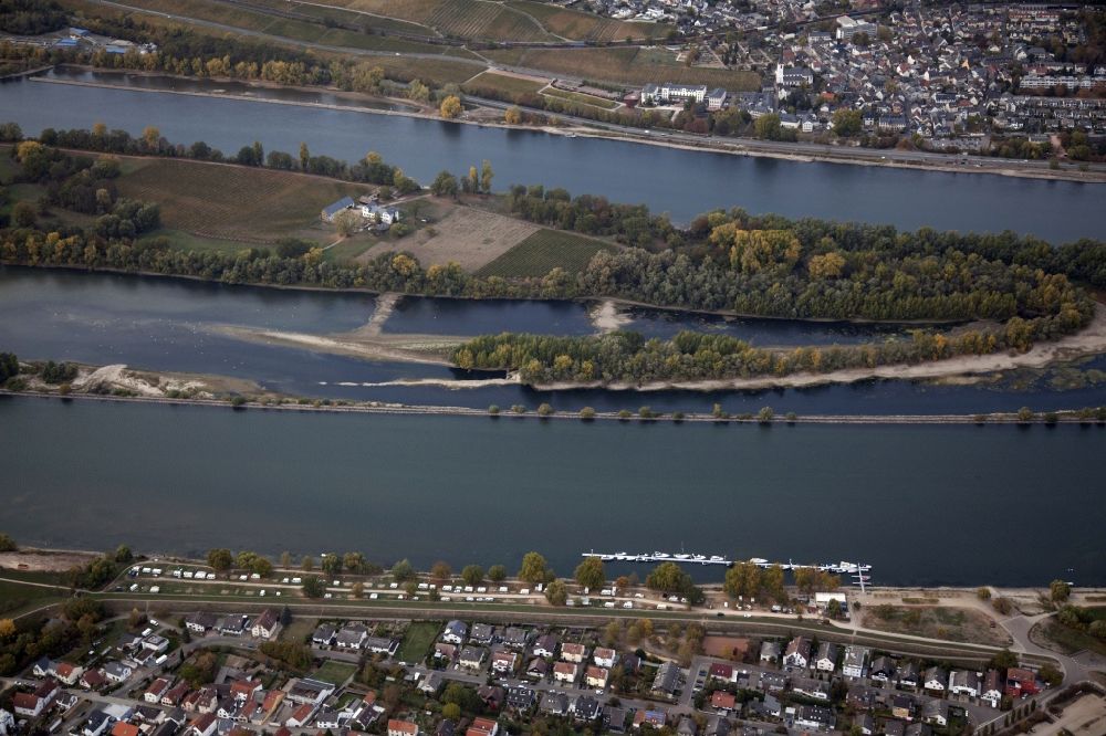 Luftaufnahme Eltville am Rhein - Uferbereiche mit durch Niedrig- Wasser- Pegel freigelegtem Flußbett im Rhein in Eltville am Rhein im Bundesland Hessen, Deutschland
