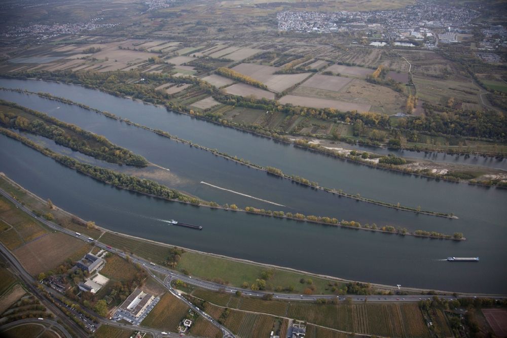 Eltville am Rhein aus der Vogelperspektive: Uferbereiche mit durch Niedrig- Wasser- Pegel freigelegtem Flußbett im Rhein in Eltville am Rhein im Bundesland Hessen, Deutschland