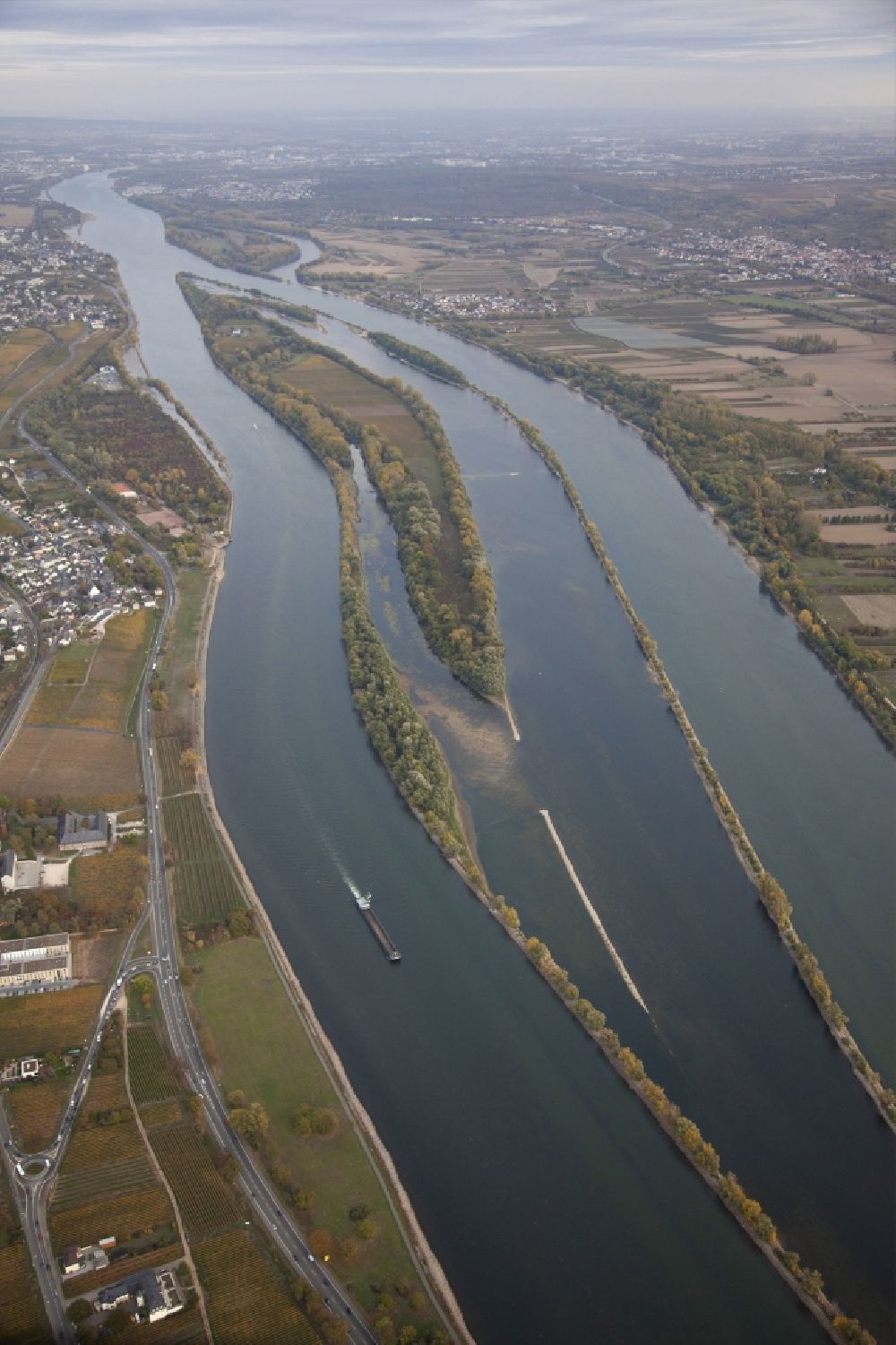 Luftbild Eltville am Rhein - Uferbereiche mit durch Niedrig- Wasser- Pegel freigelegtem Flußbett im Rhein in Eltville am Rhein im Bundesland Hessen, Deutschland