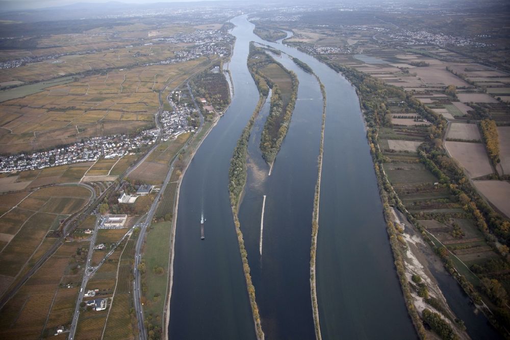 Luftaufnahme Eltville am Rhein - Uferbereiche mit durch Niedrig- Wasser- Pegel freigelegtem Flußbett im Rhein in Eltville am Rhein im Bundesland Hessen, Deutschland