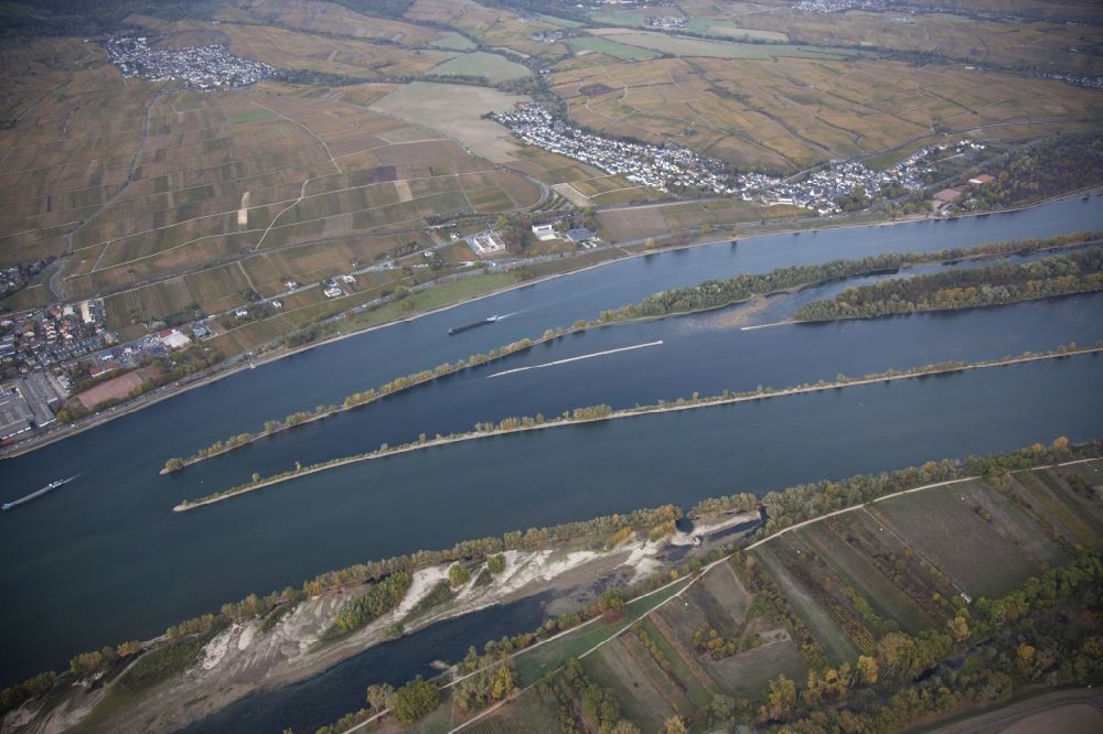 Eltville am Rhein aus der Vogelperspektive: Uferbereiche mit durch Niedrig- Wasser- Pegel freigelegtem Flußbett im Rhein in Eltville am Rhein im Bundesland Hessen, Deutschland
