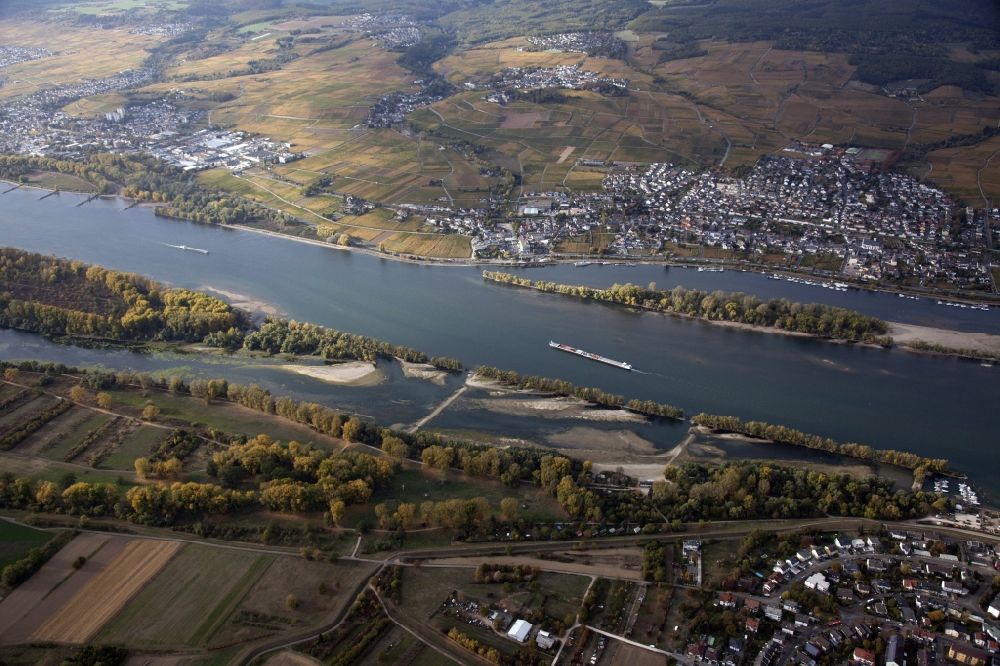 Luftbild Oestrich-Winkel - Uferbereiche mit durch Niedrig- Wasser- Pegel freigelegtem Flußbett im Rhein in Oestrich-Winkel im Bundesland Hessen, Deutschland