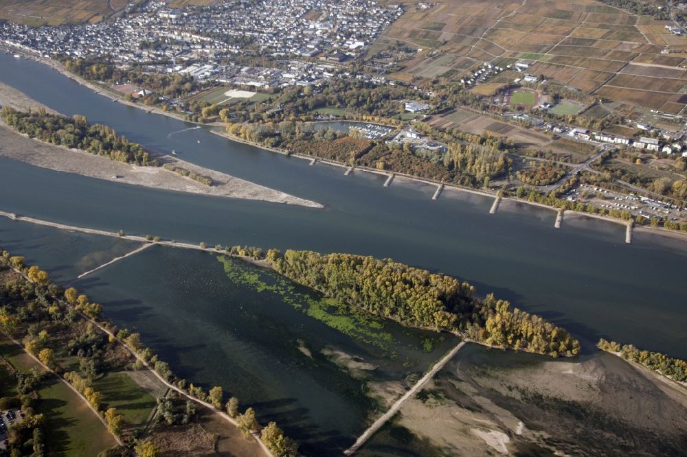 Luftbild Rüdesheim am Rhein - Uferbereiche mit durch Niedrig- Wasser- Pegel freigelegtem Flußbett im Rhein in Rüdesheim am Rhein im Bundesland Hessen, Deutschland