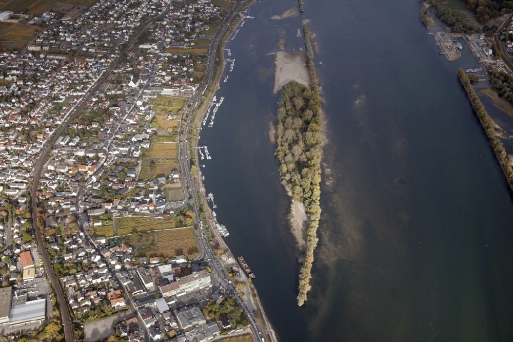 Luftbild Oestrich-Winkel - Uferbereiche mit durch Niedrig- Wasser- Pegel freigelegten Flußbett im Rhein in Oestrich-Winkel im Bundesland Hessen, Deutschland